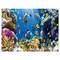 Designart - Fish in Coral Reef - Seascape Photography Canvas Art Print